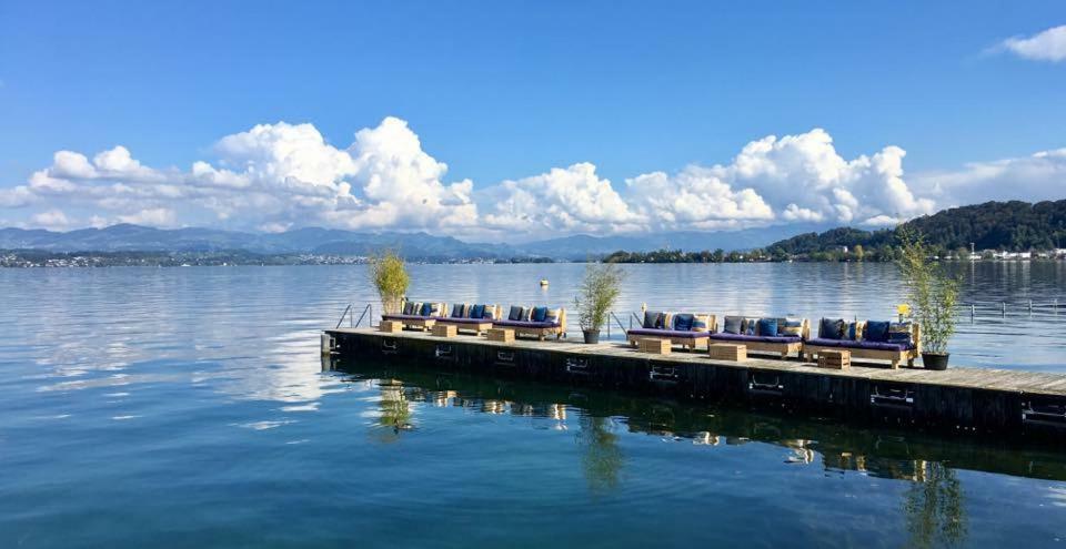 Lake View Private Studio Richterswil エクステリア 写真